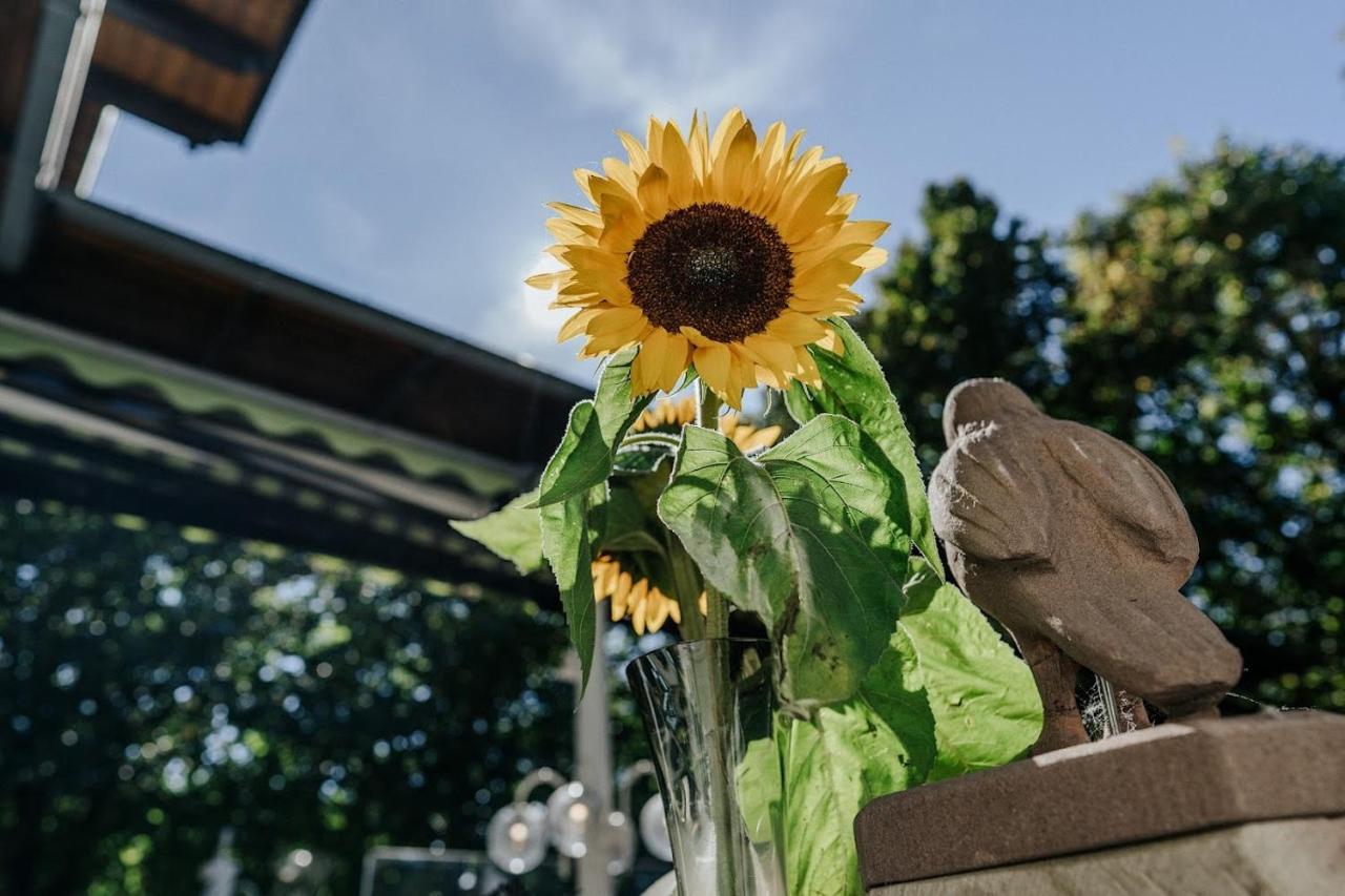 Landgasthof Adler 브라이사흐암라인 외부 사진
